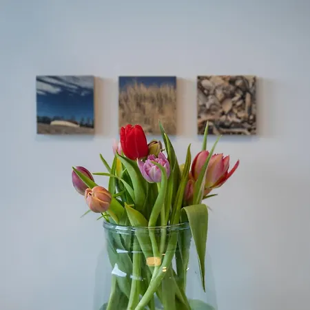 Meeresrauschen Apartment Wenningstedt-Braderup