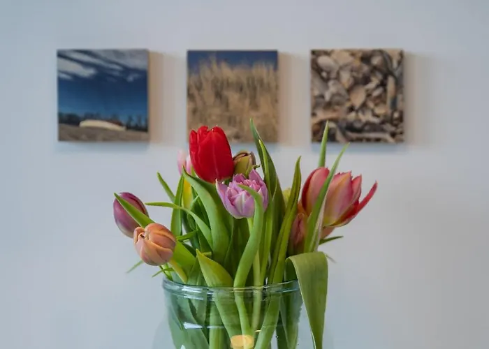 Meeresrauschen Apartman Wenningstedt-Braderup (Sylt)
